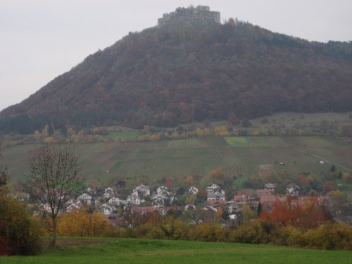 Shutzenhausview